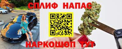 эйфоретик Тара