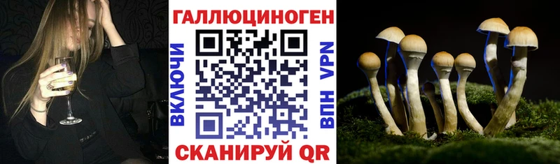 hydra зеркало  Саки  Псилоцибиновые грибы прущие грибы  купить наркоту 